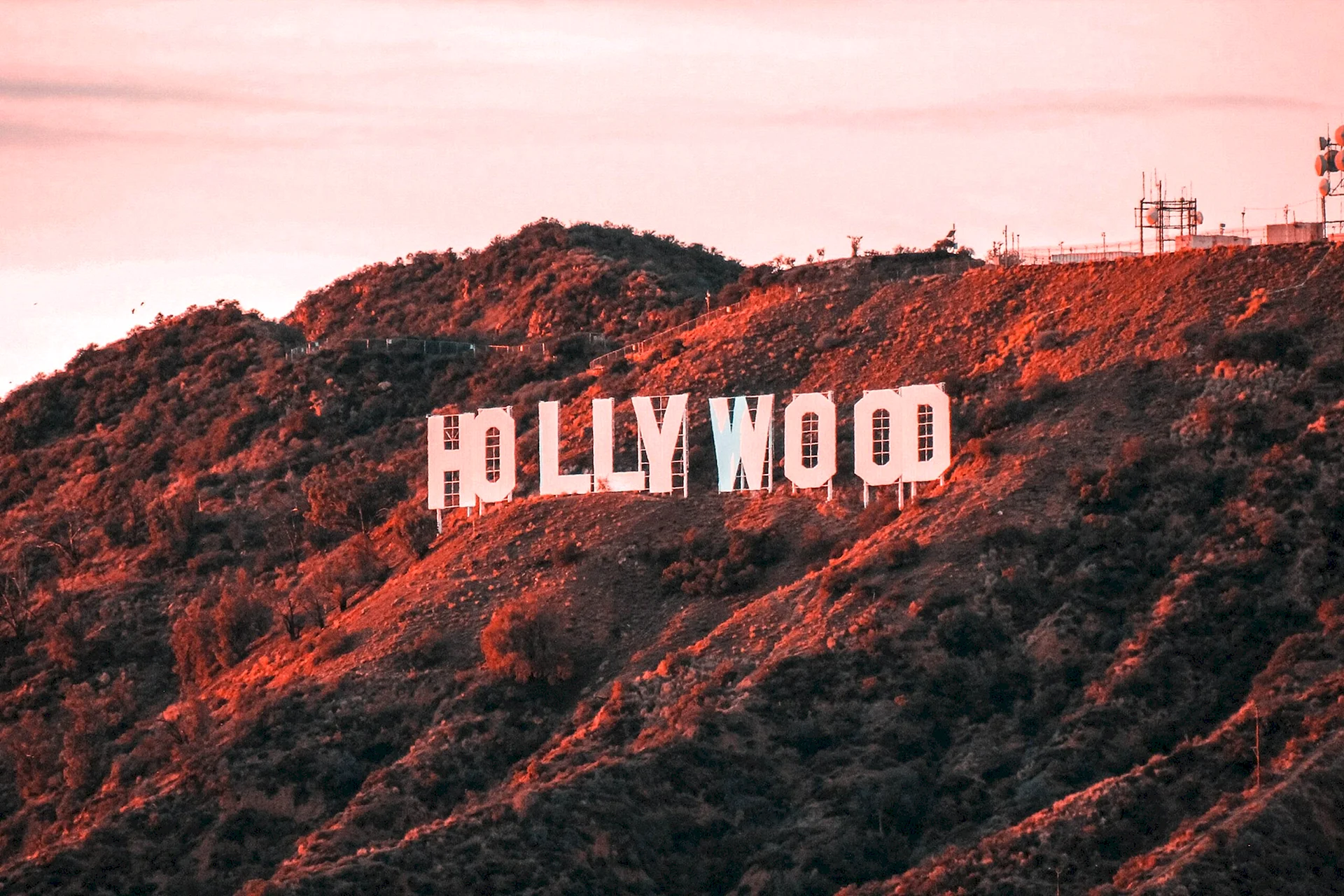 Hollywood Aesthetic Wallpaper