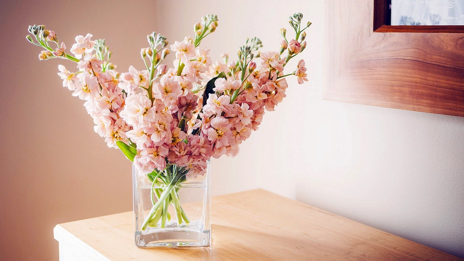 Home Flowers Vase Wallpaper