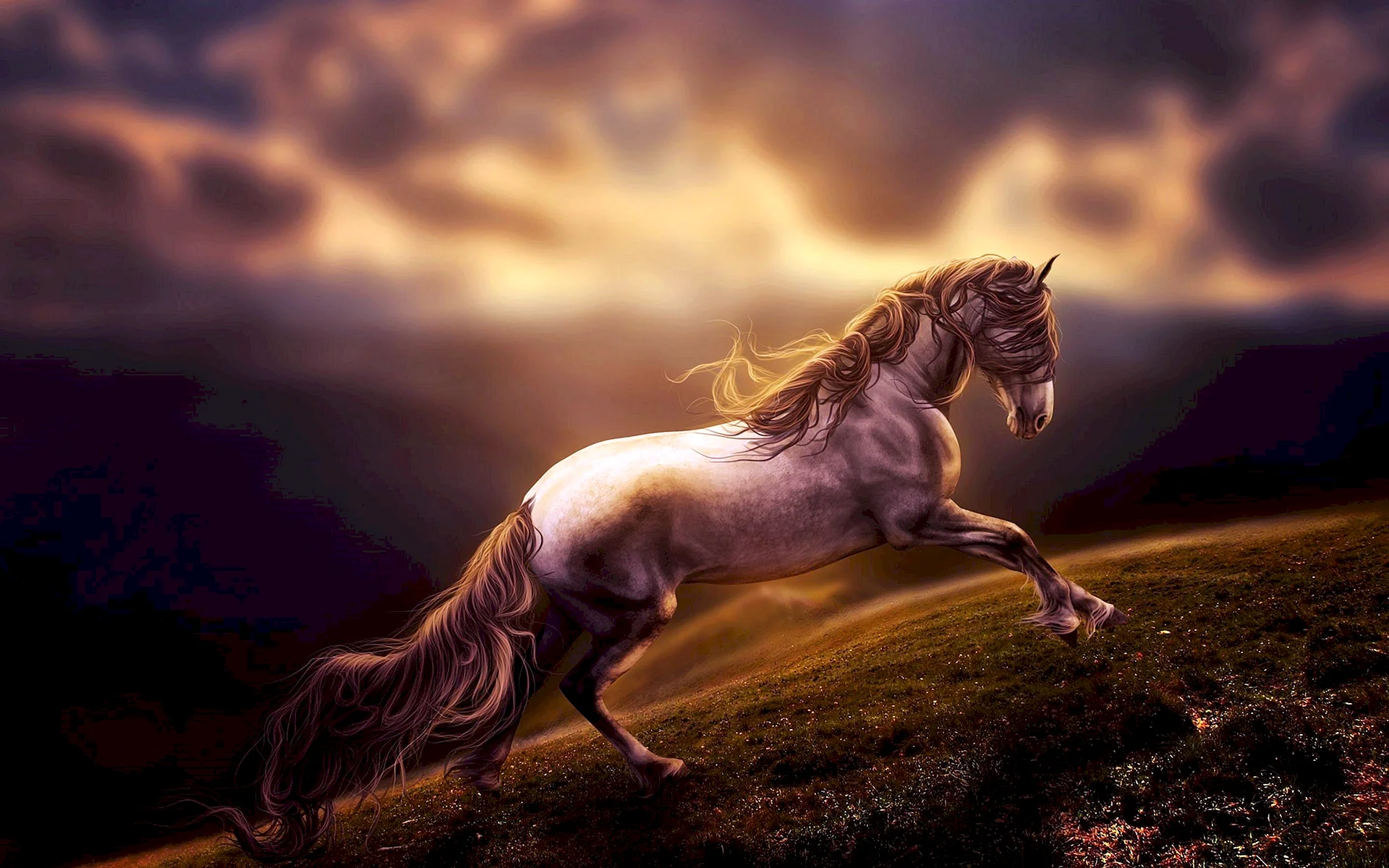 Horse Wallpaper