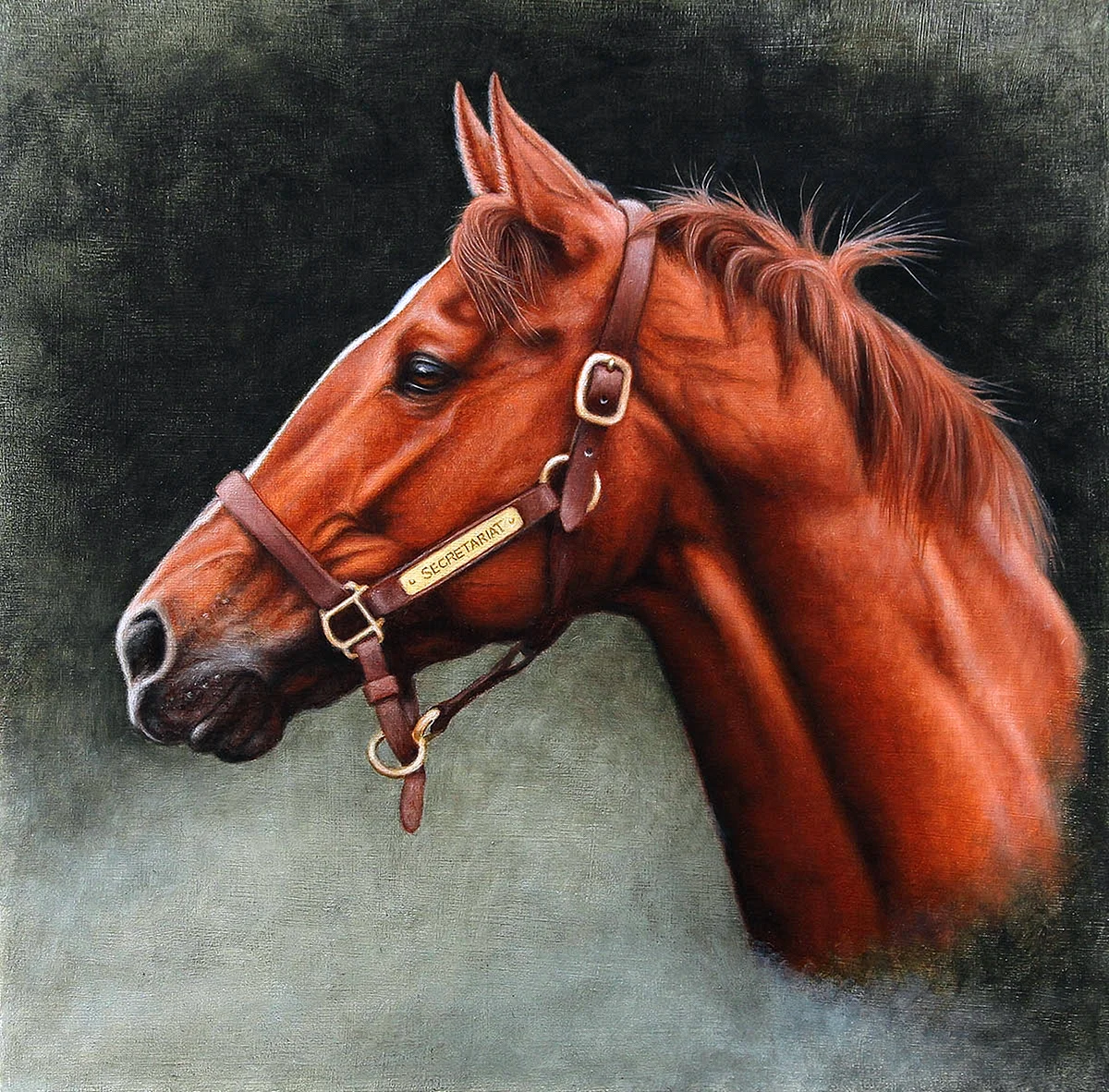 Horse Portrait Painting Wallpaper