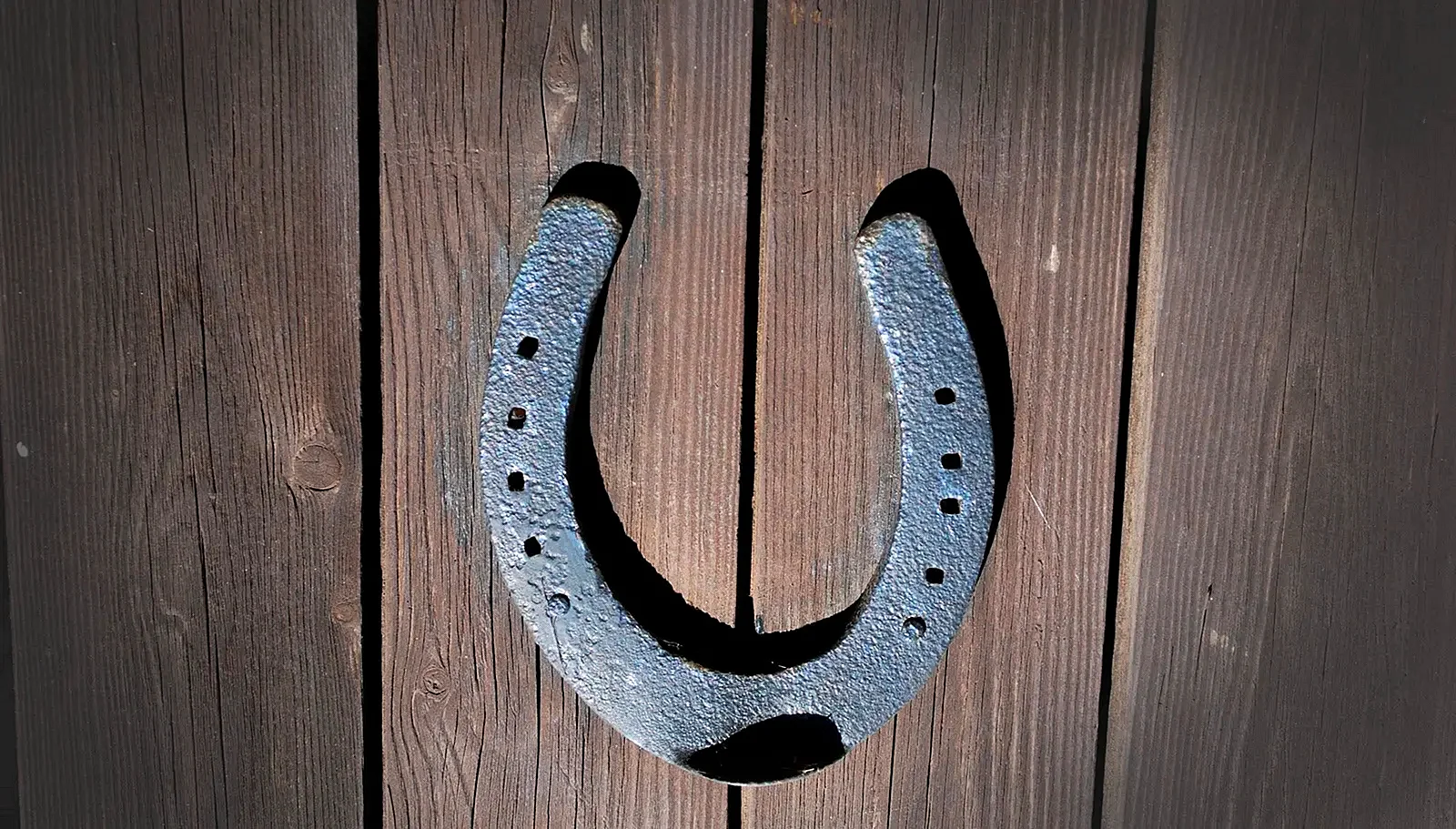 Horseshoe Wallpaper