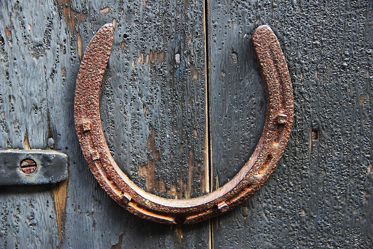 Horseshoe Wallpaper