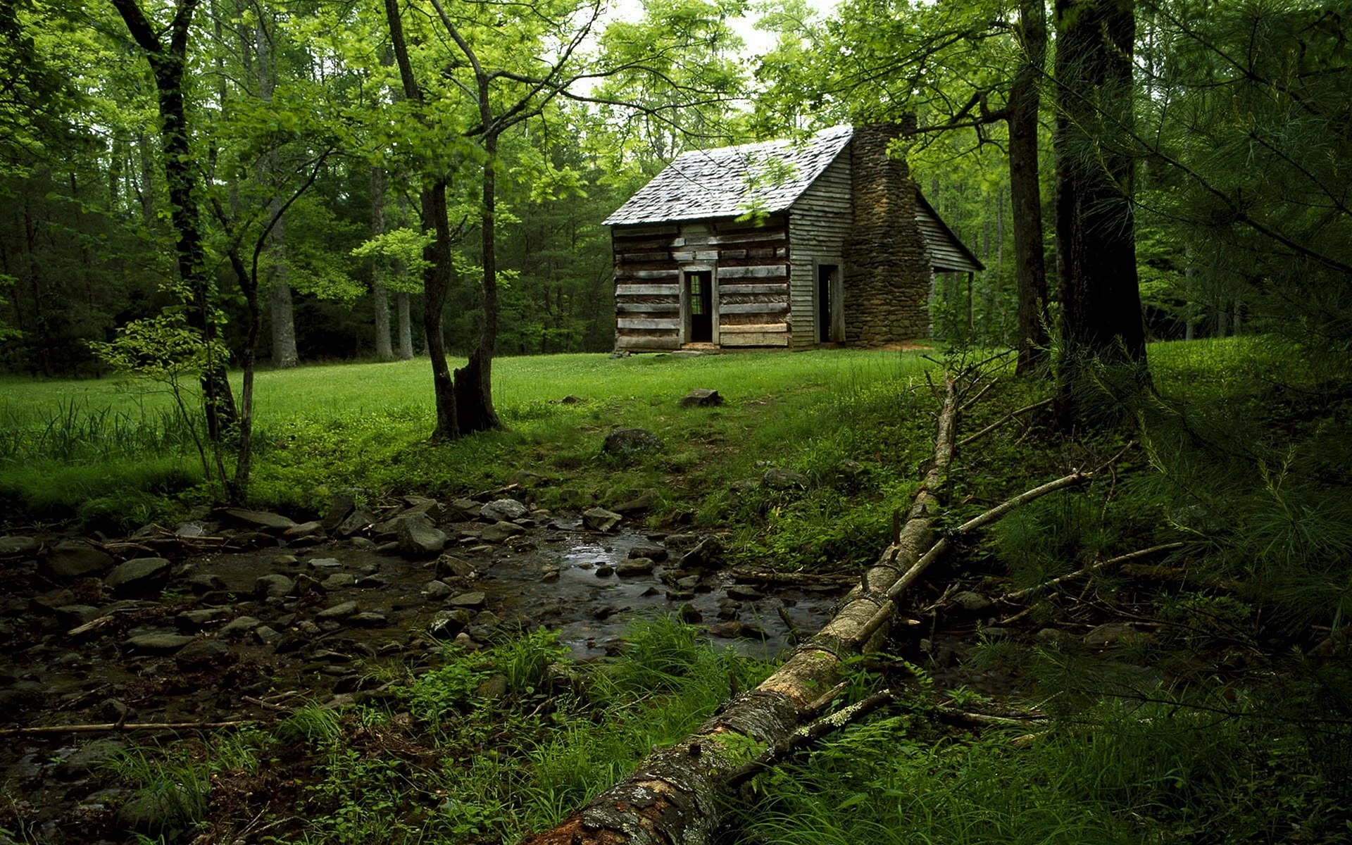 House In Forest Wallpaper