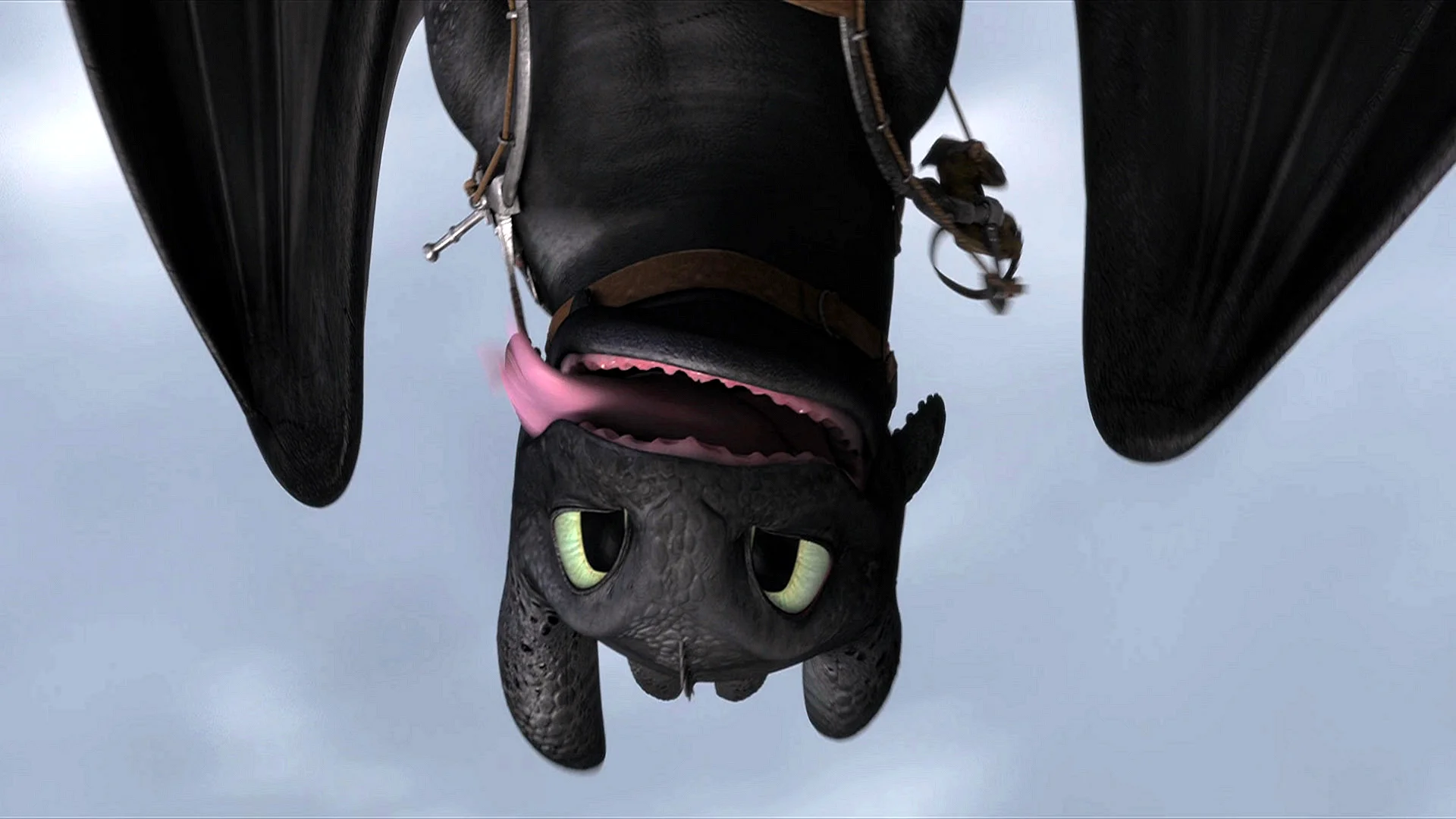 How To Train Your Dragon Wallpaper