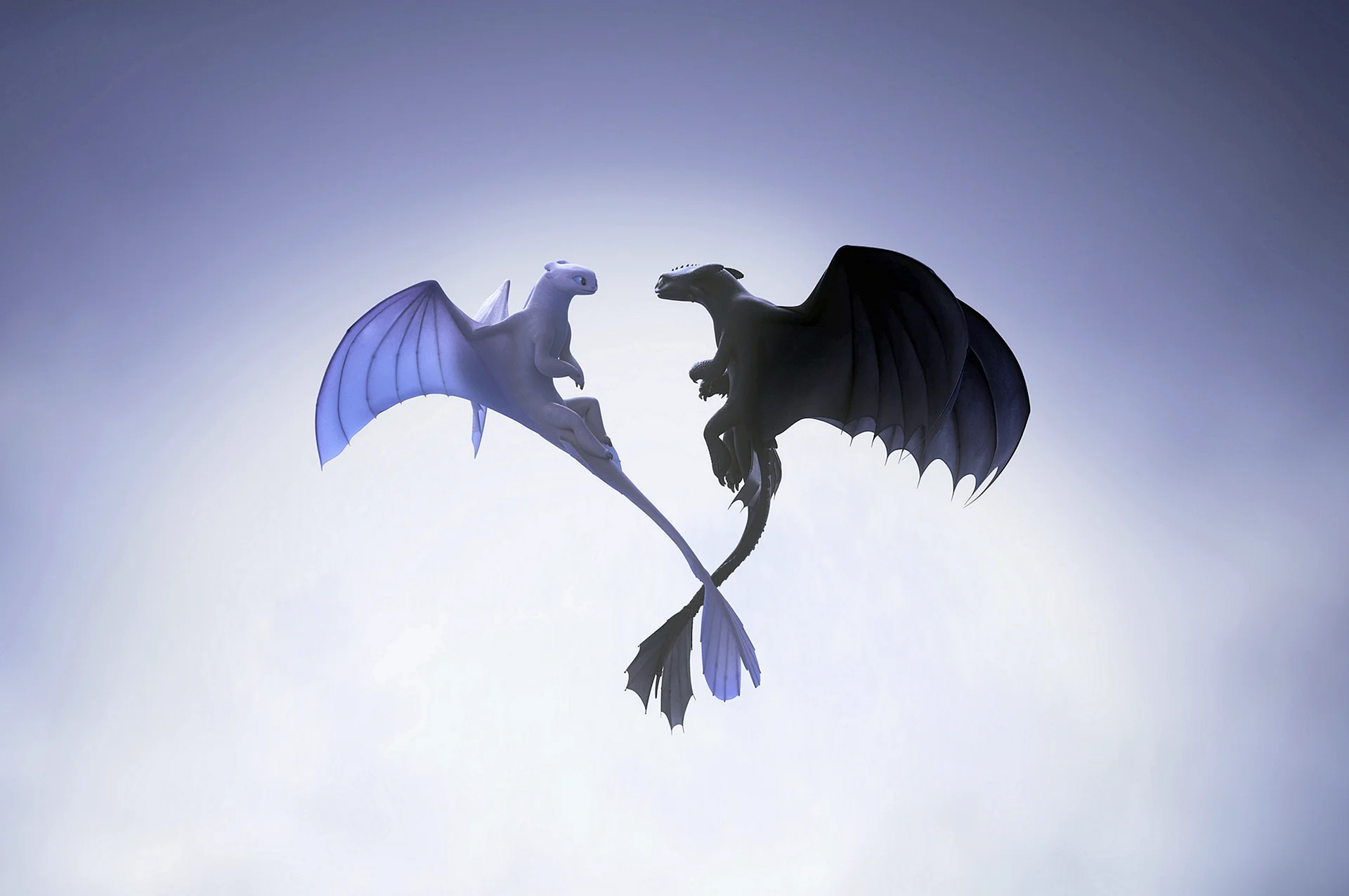 How To Train Your Dragon Night Fury Wallpaper