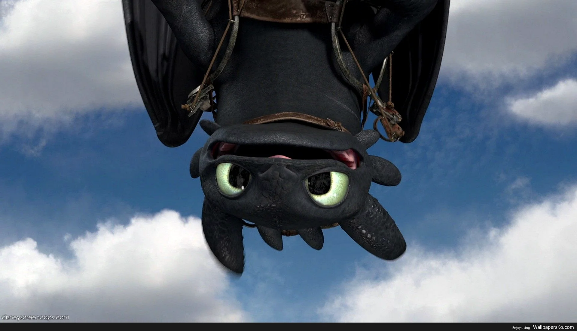 How To Train Your Dragon Toothless Wallpaper