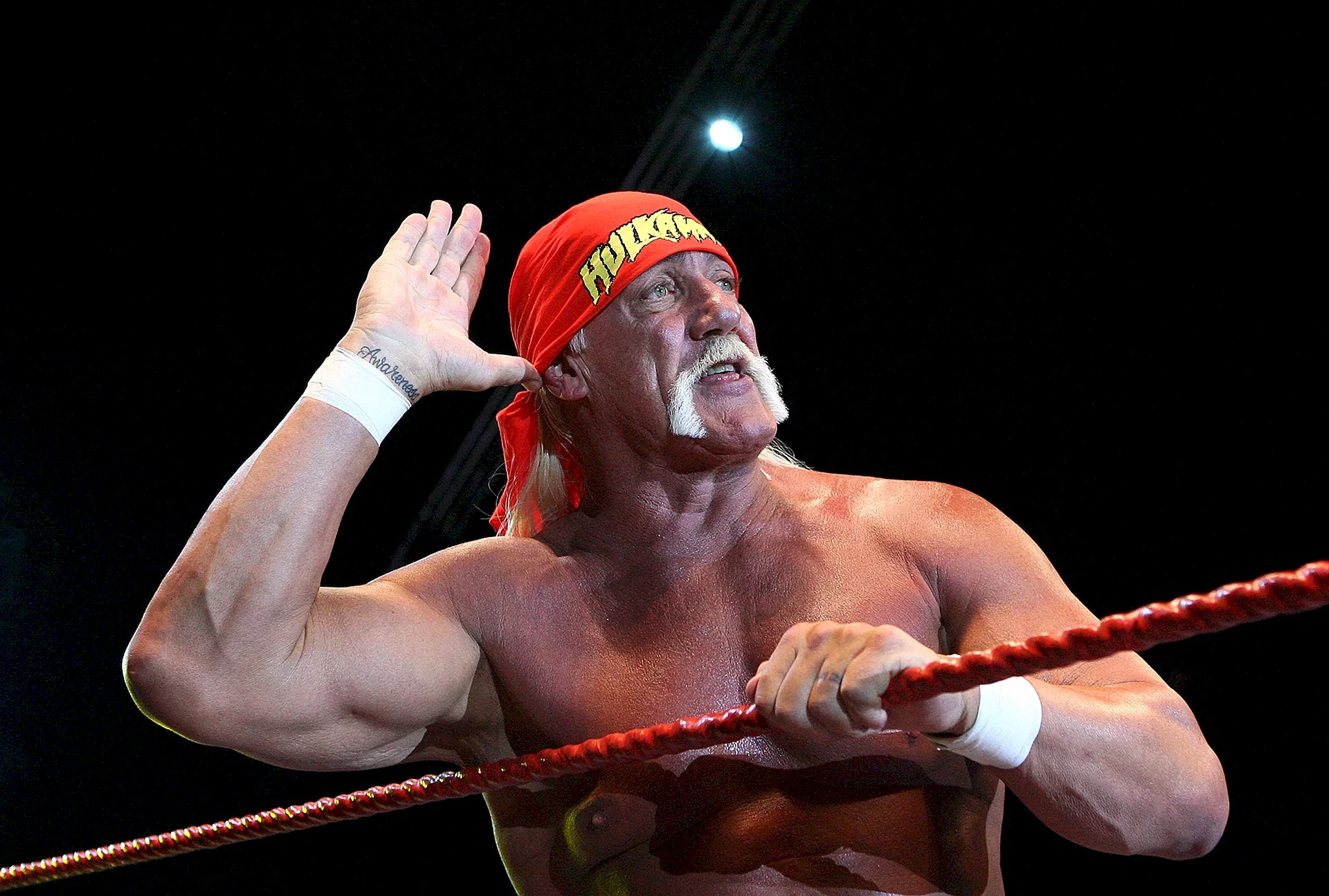 Hulk Hogan Wallpaper