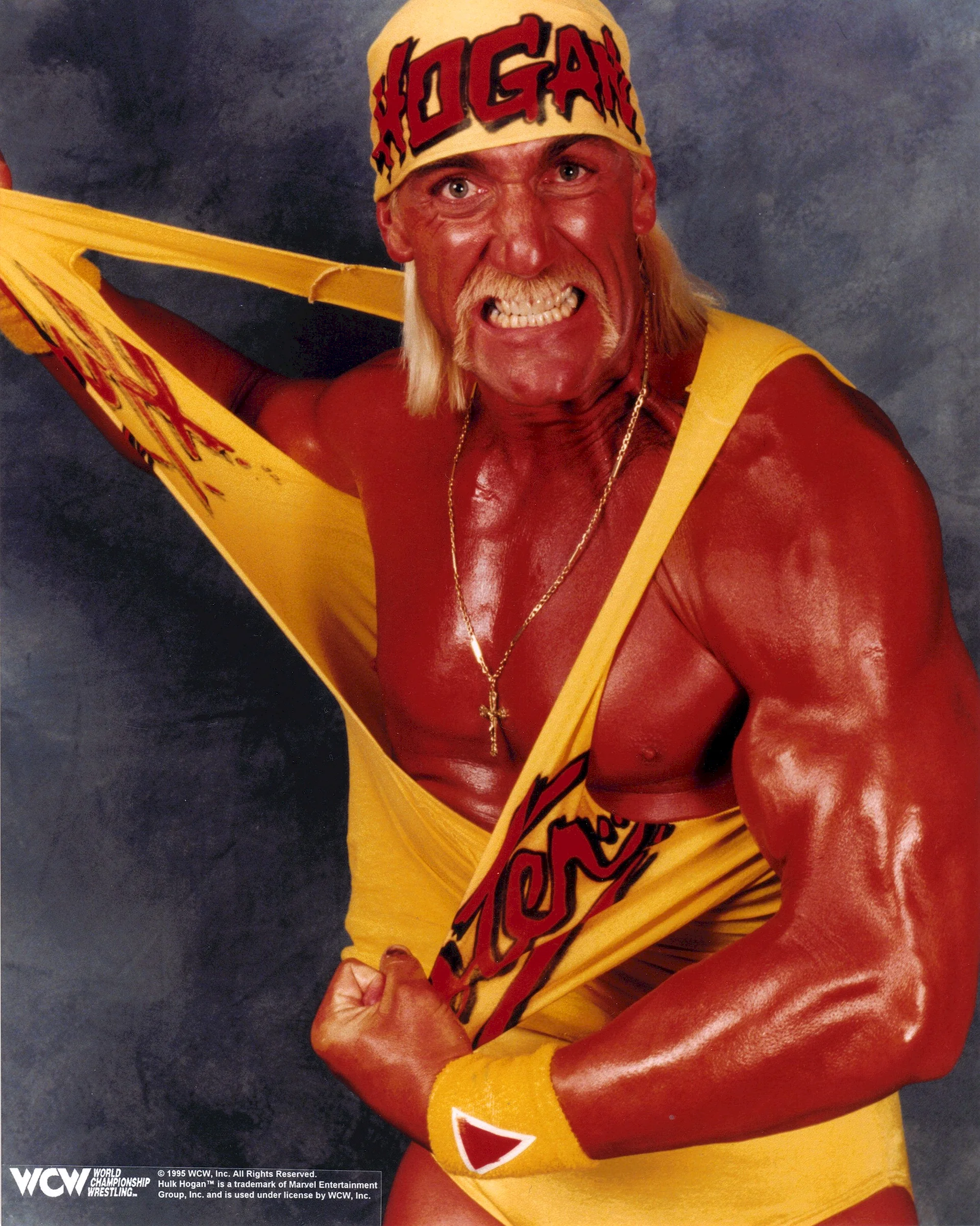 Hulk Hogan 1994 Wallpaper