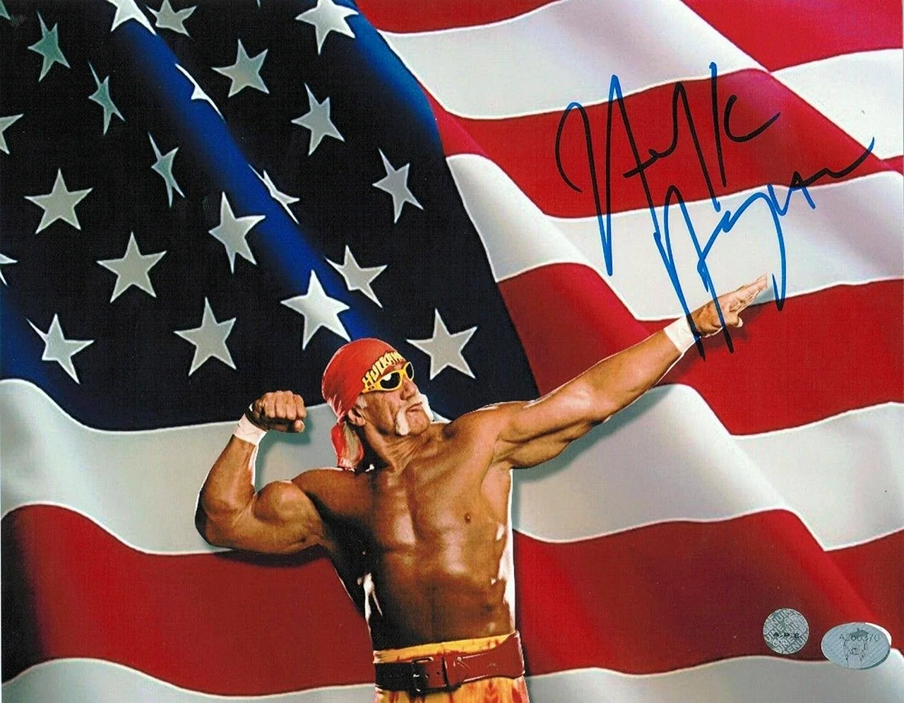 Hulk Hogan American Flag Wallpaper