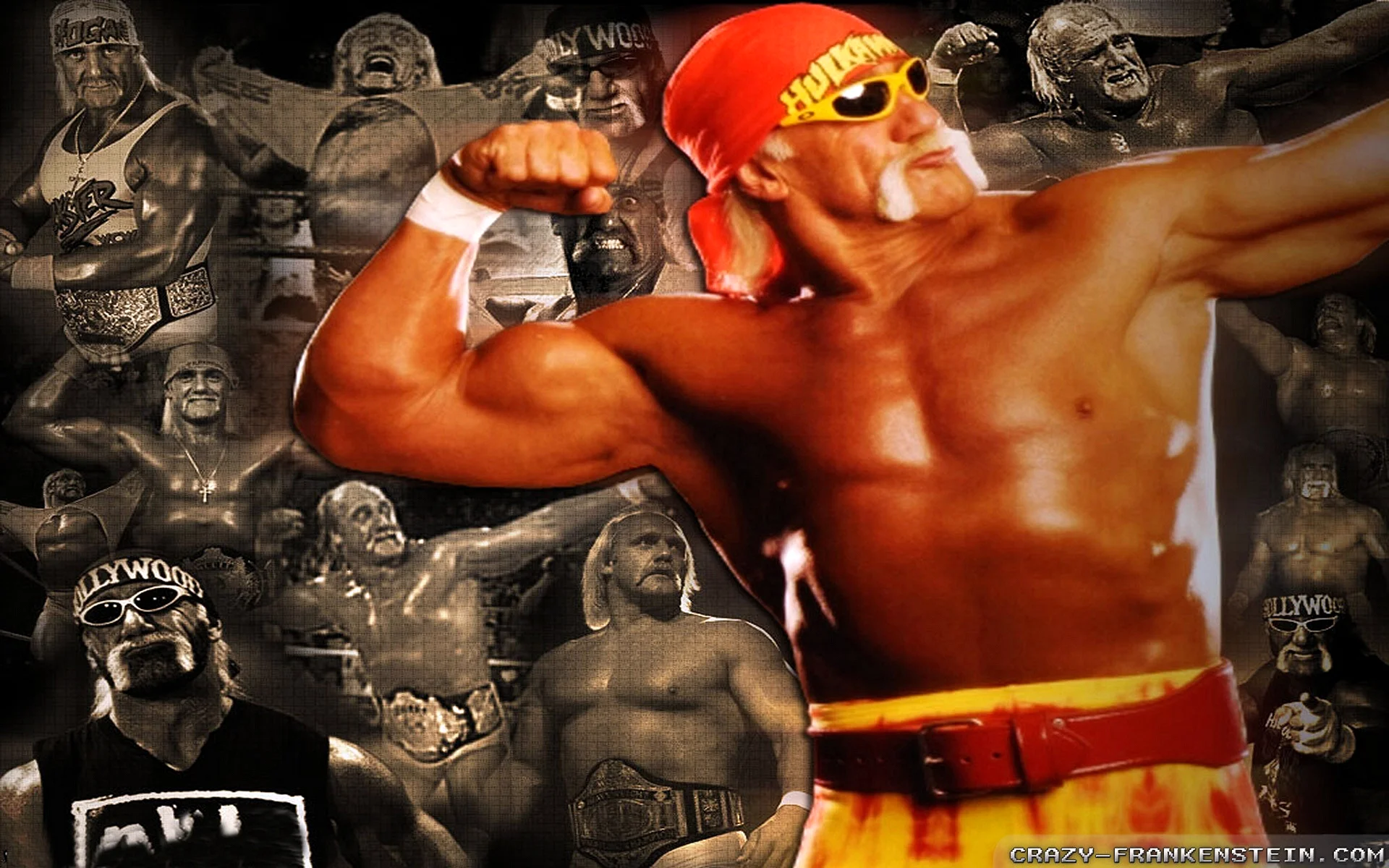 Hulk Hogan Wwe Art Wallpaper