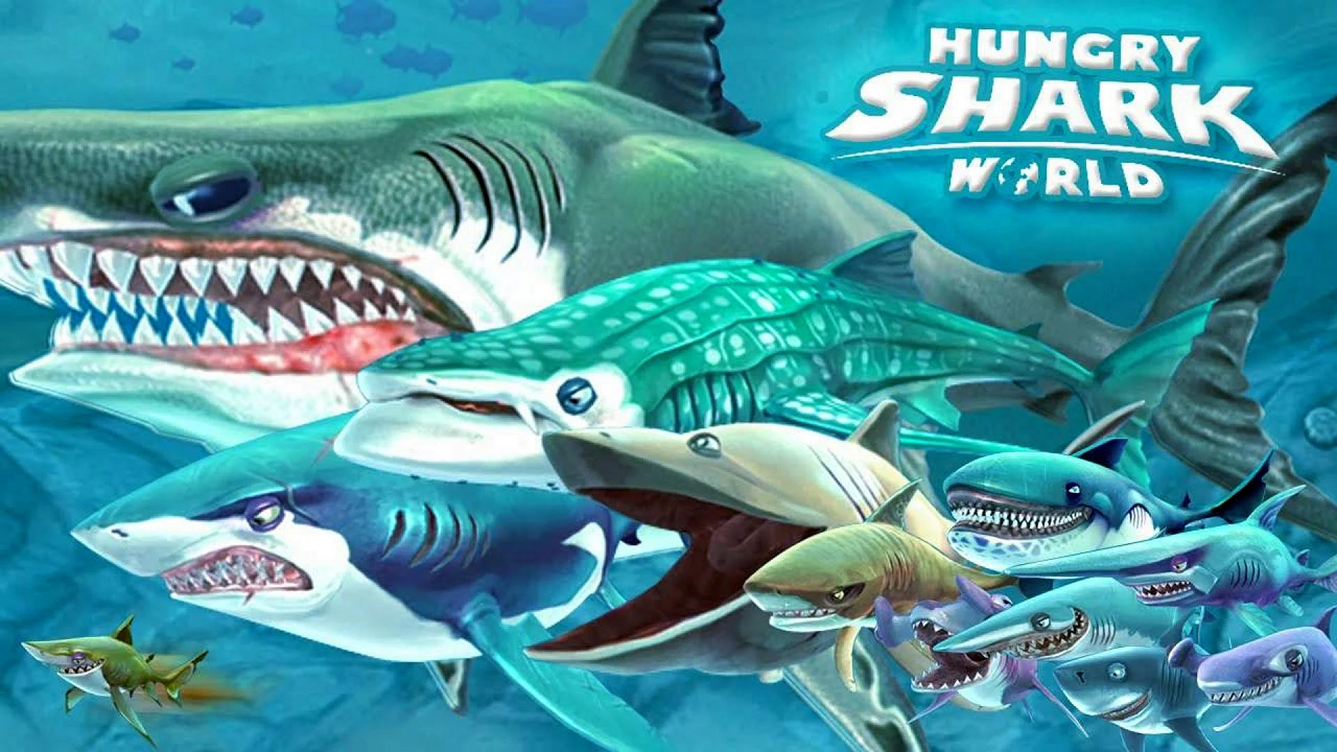 Hungry Shark Wallpaper
