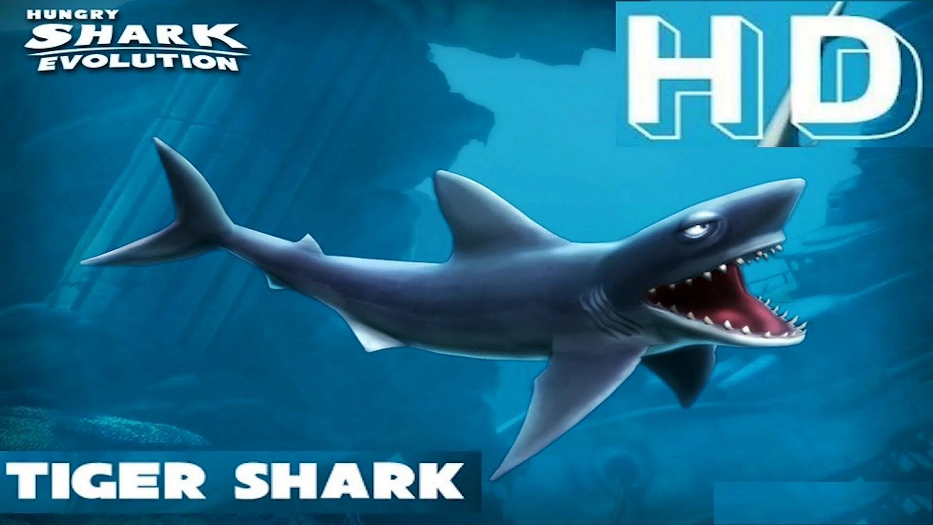 Hungry Shark Evolution Wallpaper