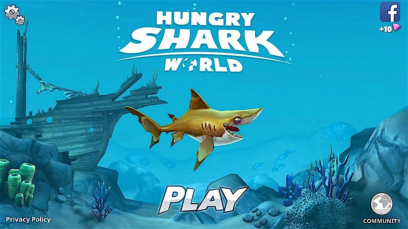 Hungry Shark Plays Wallpaper