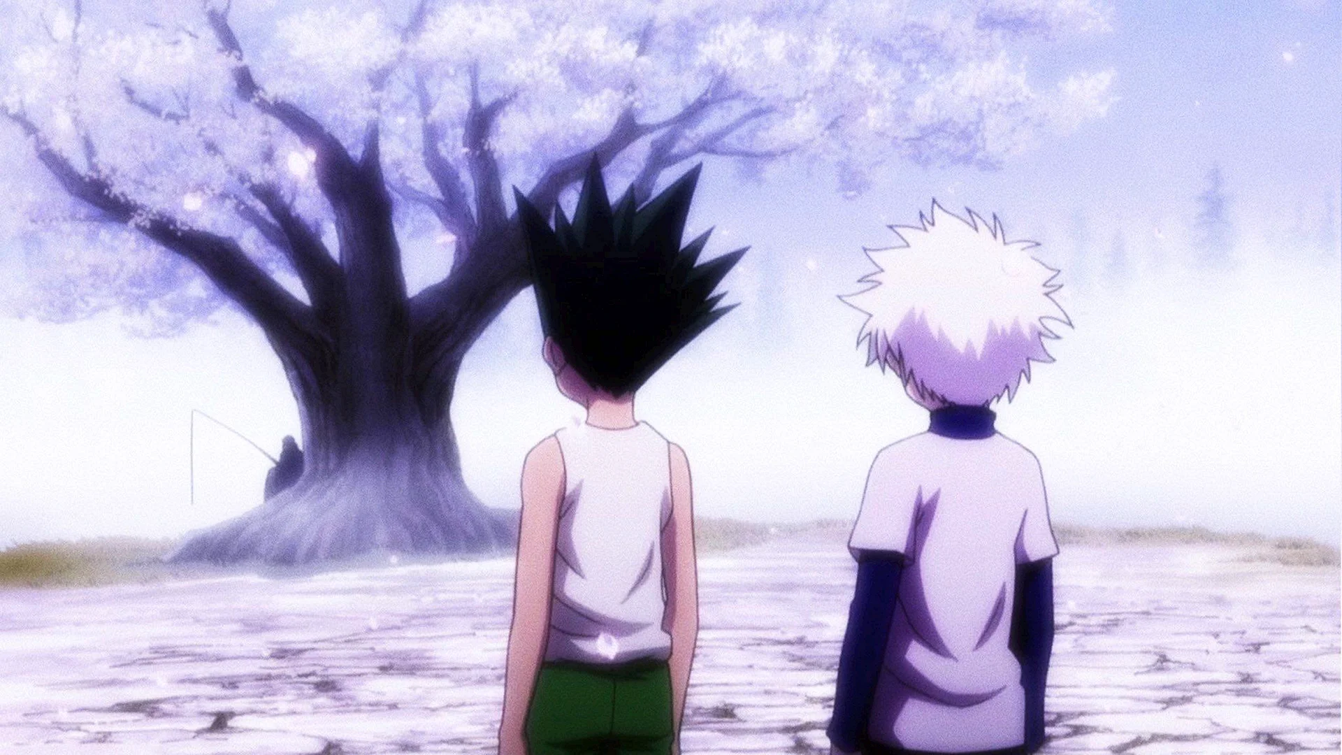 Hunter X Hunter 4k Wallpaper