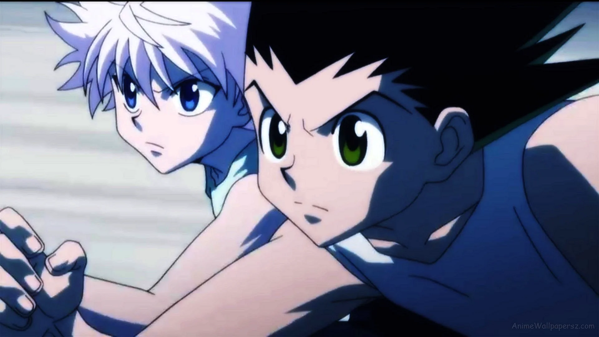 Hunter X Hunter Gon Wallpaper