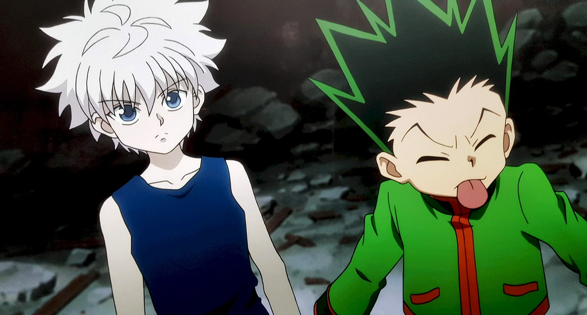 Hunter X Hunter Hunter Pass Wallpaper