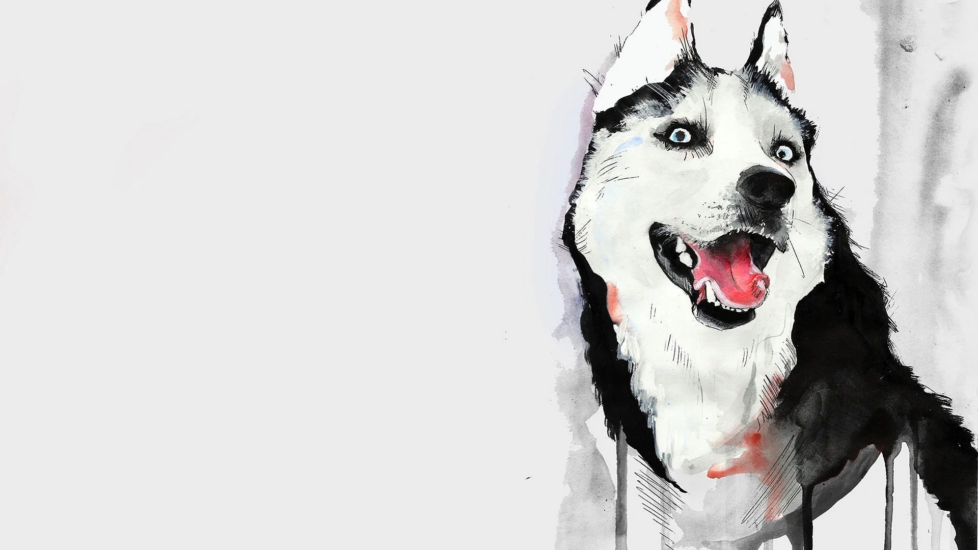 Husky Illustration Wallpaper