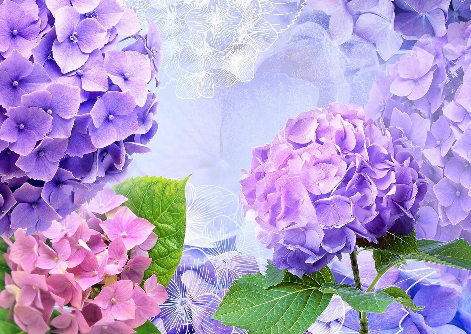 Hydrangea Pattern Wallpaper