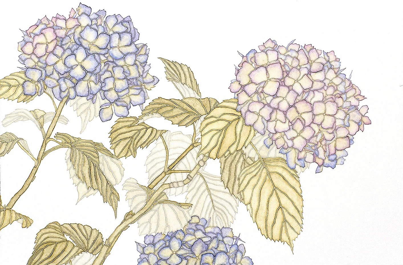 Hydrangea Pattern Wallpaper