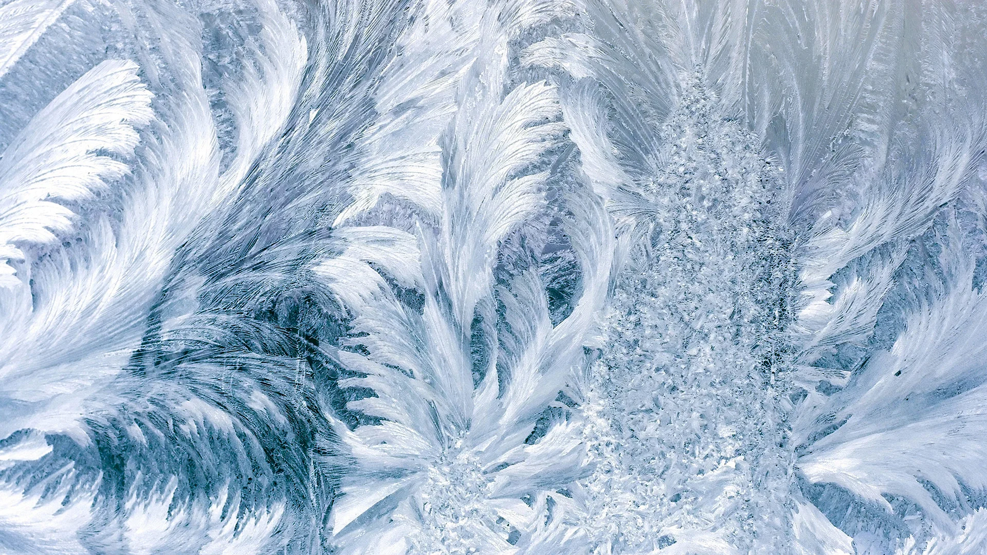 Ice Pattern Wallpaper