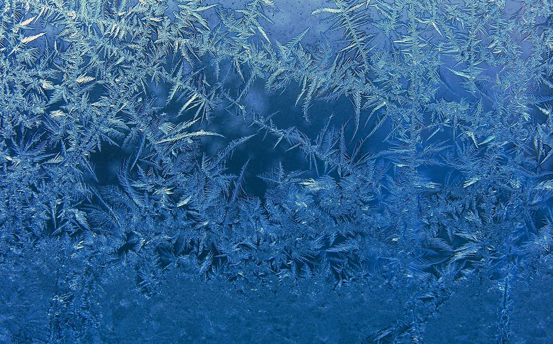 Ice Texture Wallpaper