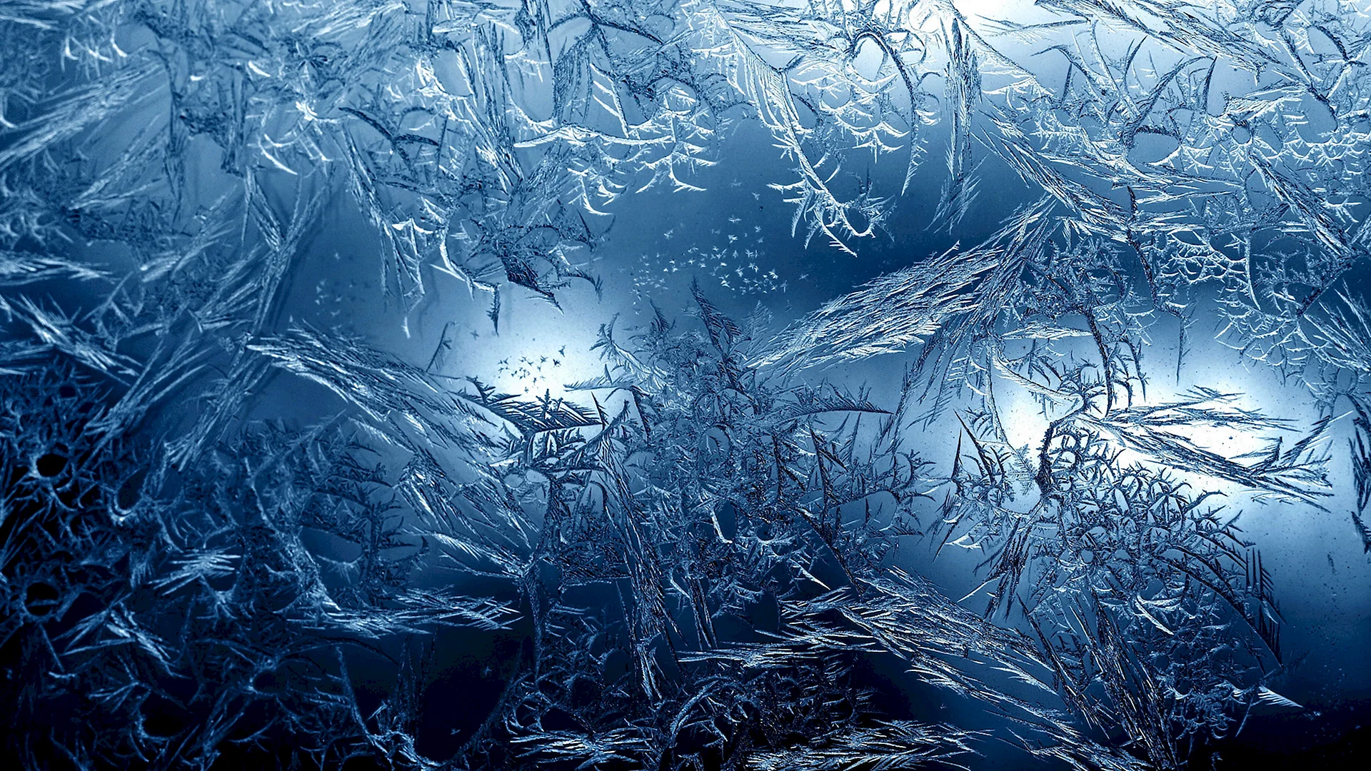Ice Texture Wallpaper