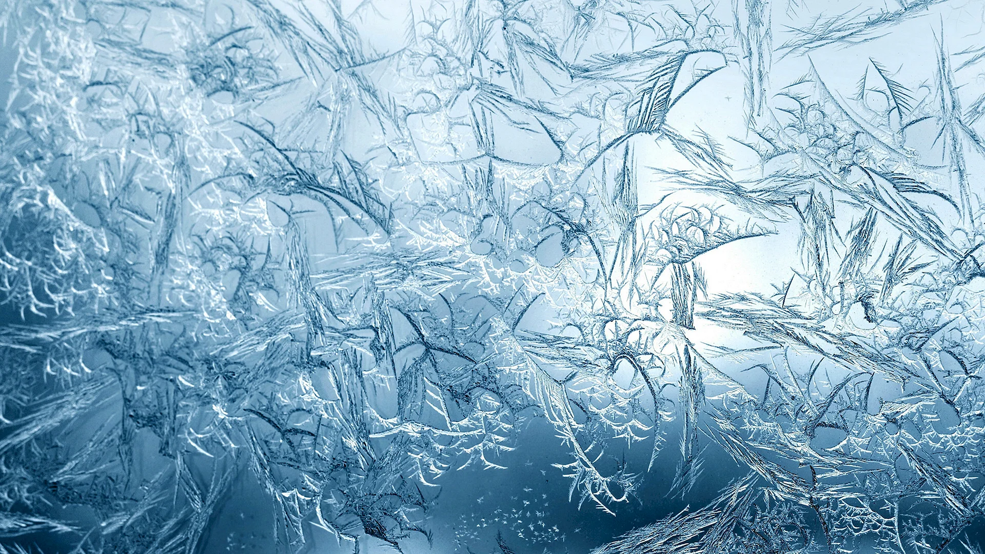 Ice Texture Wallpaper