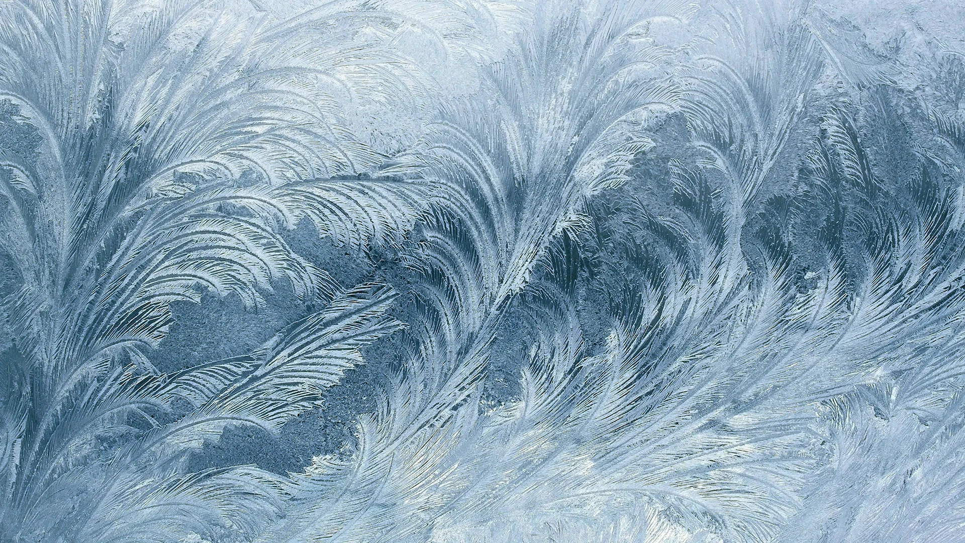 Ice Texture Wallpaper
