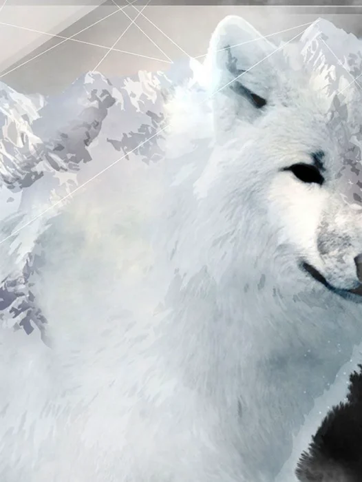 Ice Wolf Wallpaper