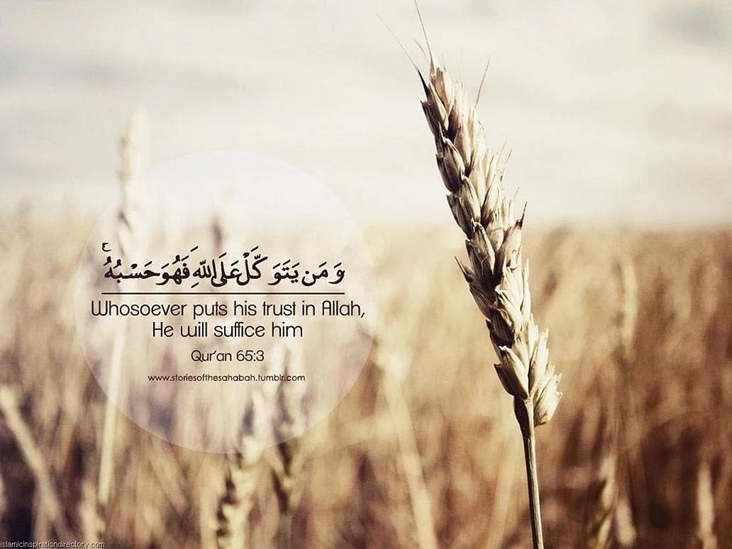 Islamic Quotes Wallpaper