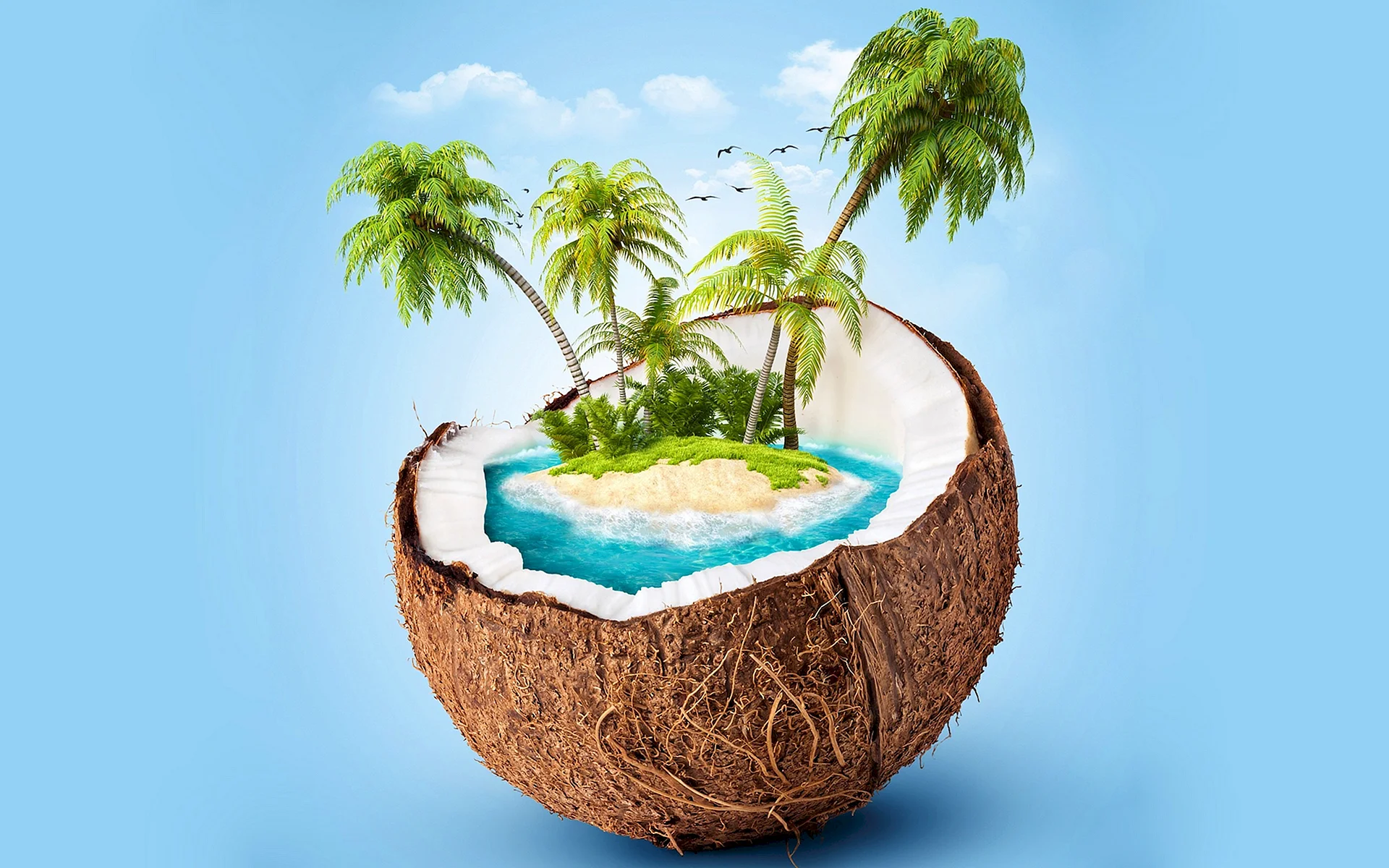 Island Coconut Tree Wallpaper