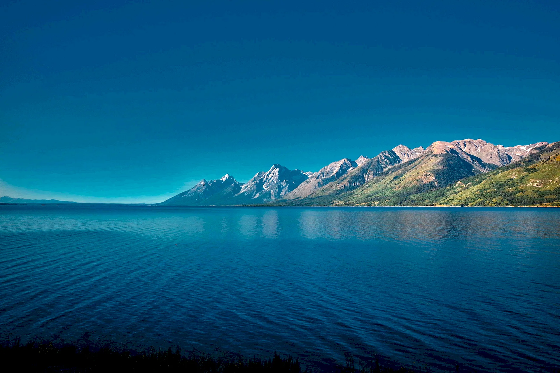 Jackson Lake Wyoming Wallpaper