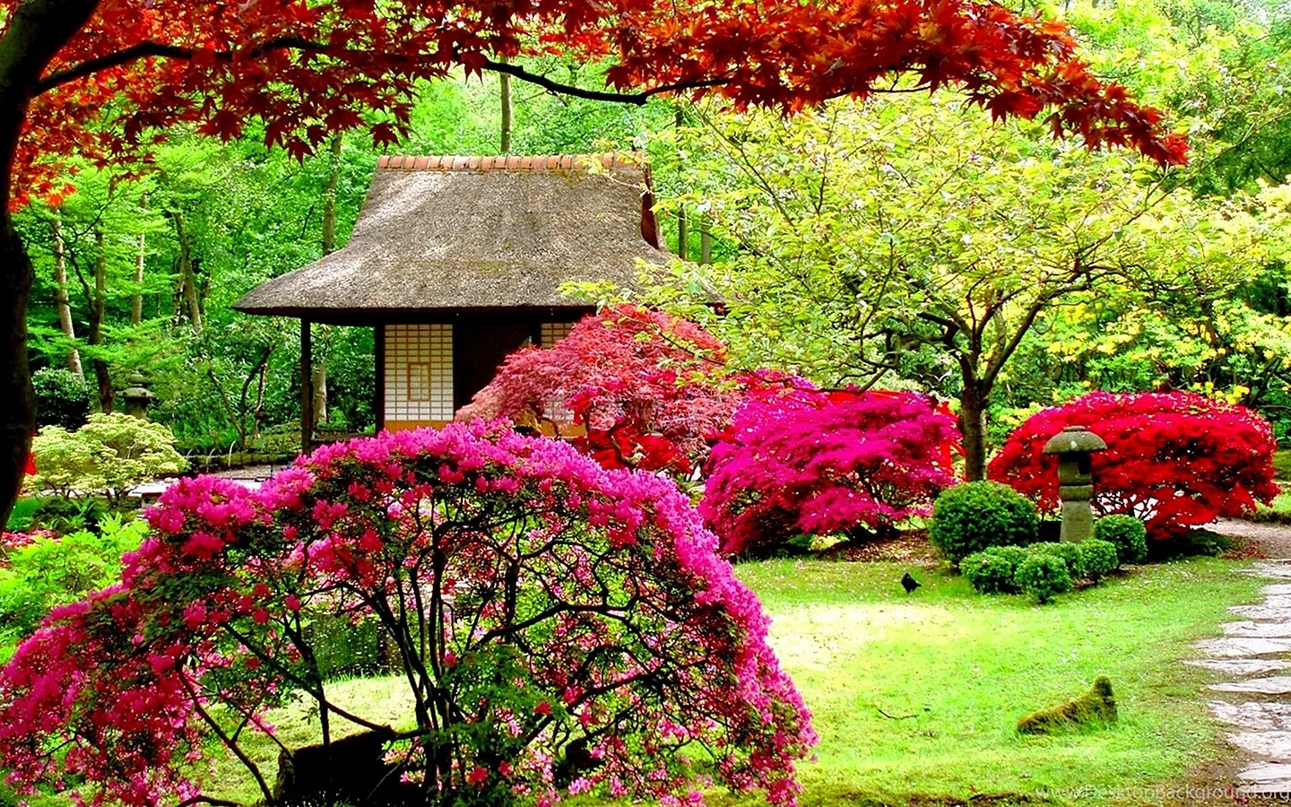 Japan Garden Wallpaper