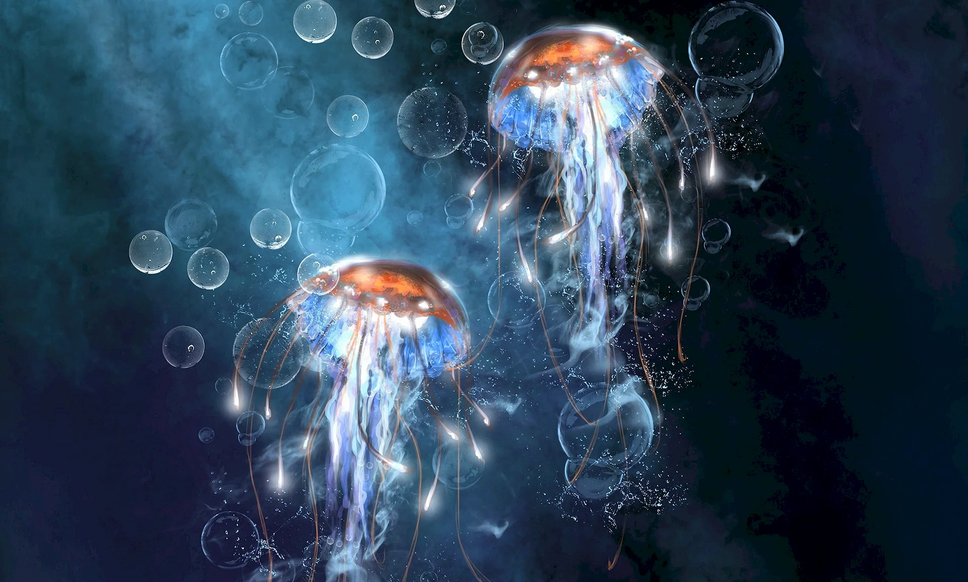 Jellyfish Wallpaper