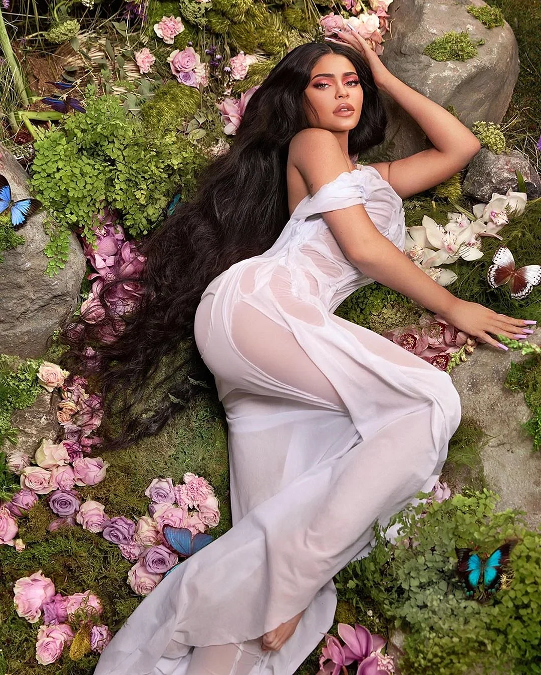 Jenner Wallpaper