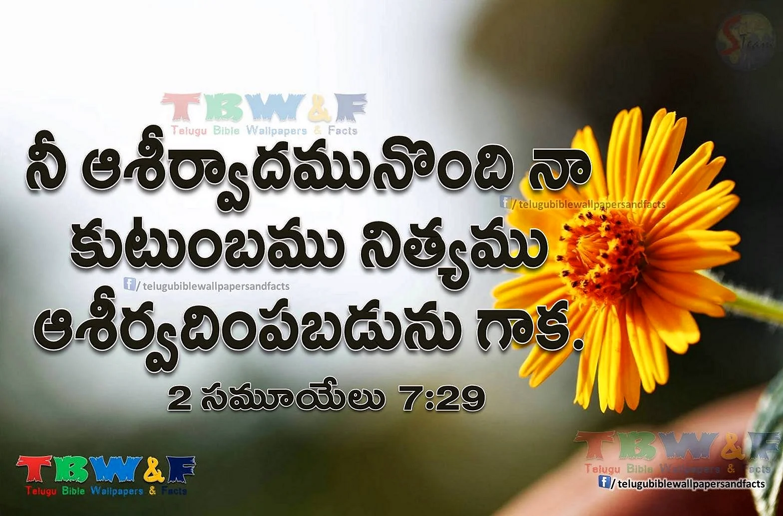 Jesus Telugu Quotes Wallpaper