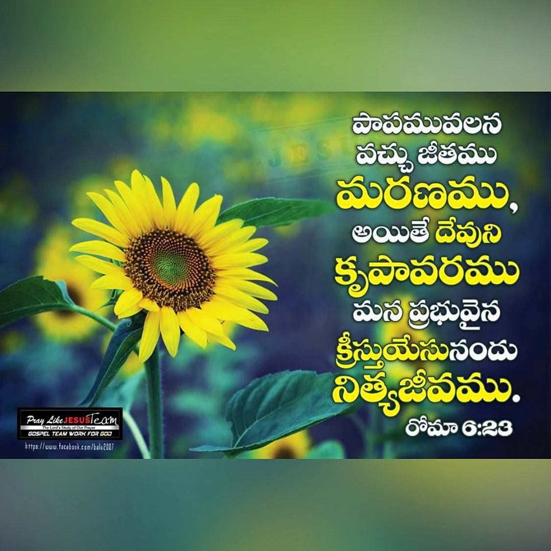 Jesus Telugu Quotes Wallpaper