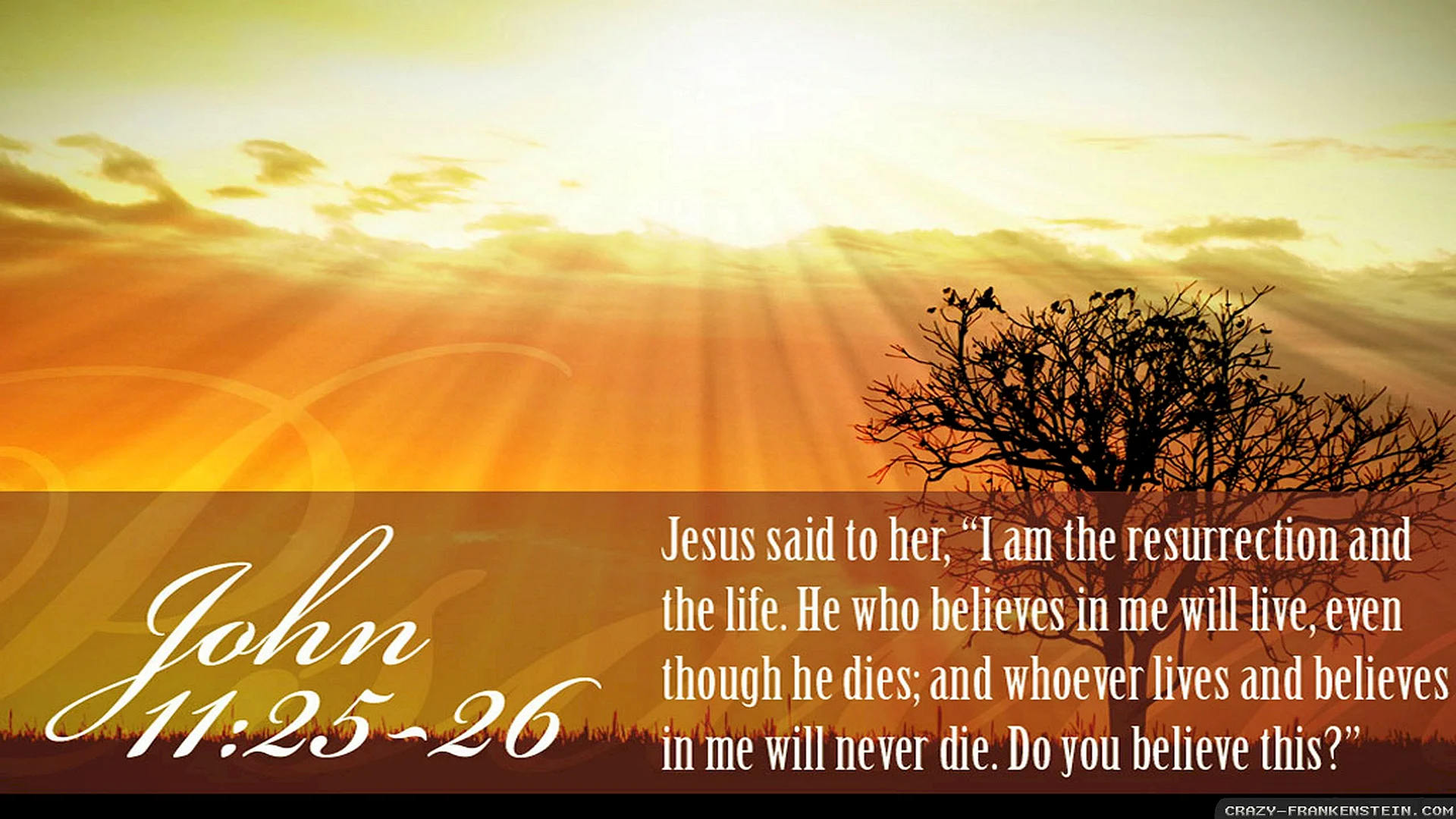 Jesus The Resurrection And The Life Wallpaper