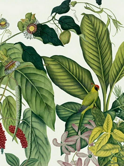 Jungle Tropical Botanique Wallpaper