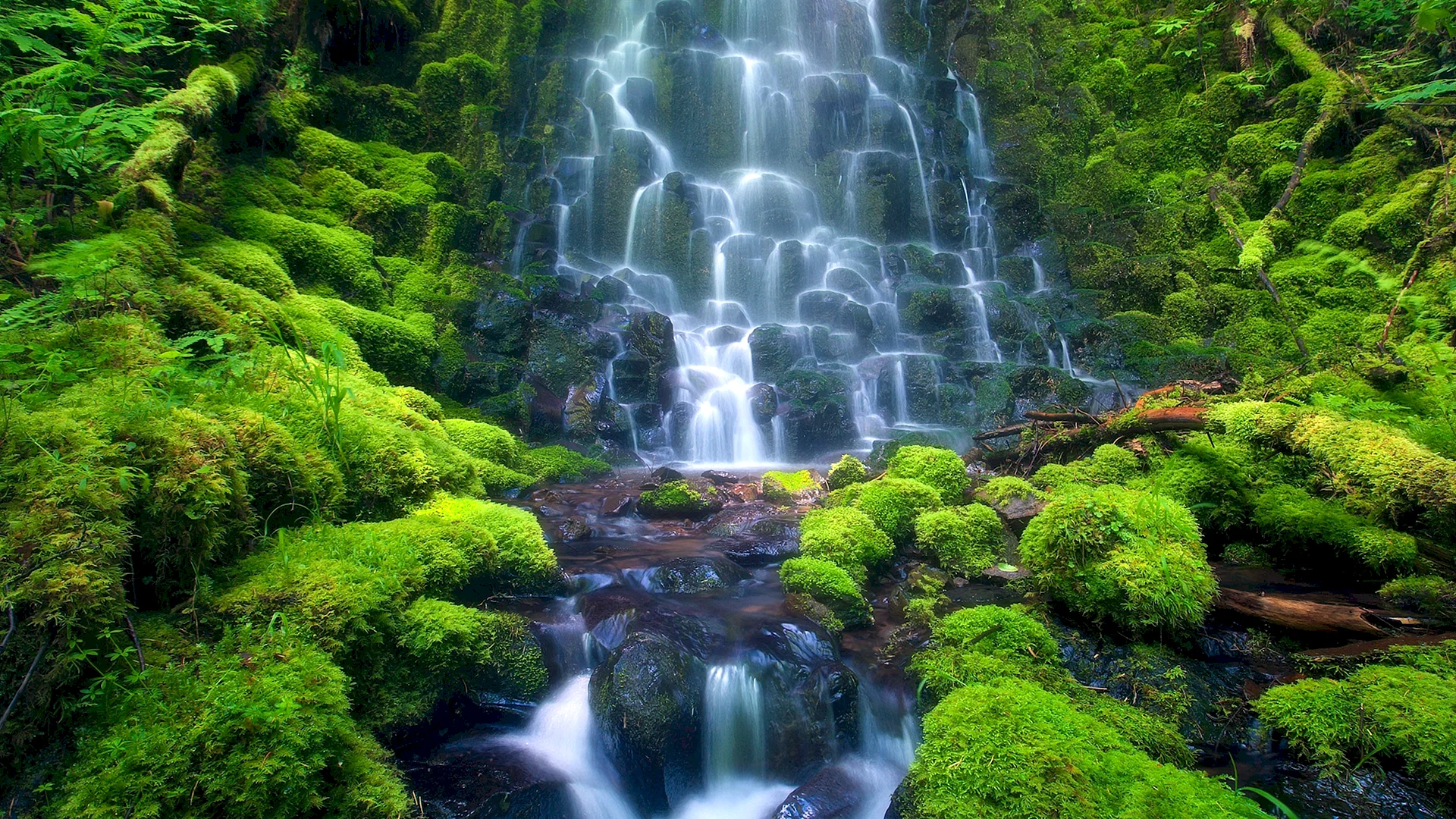 Jungle Waterfall Wallpaper