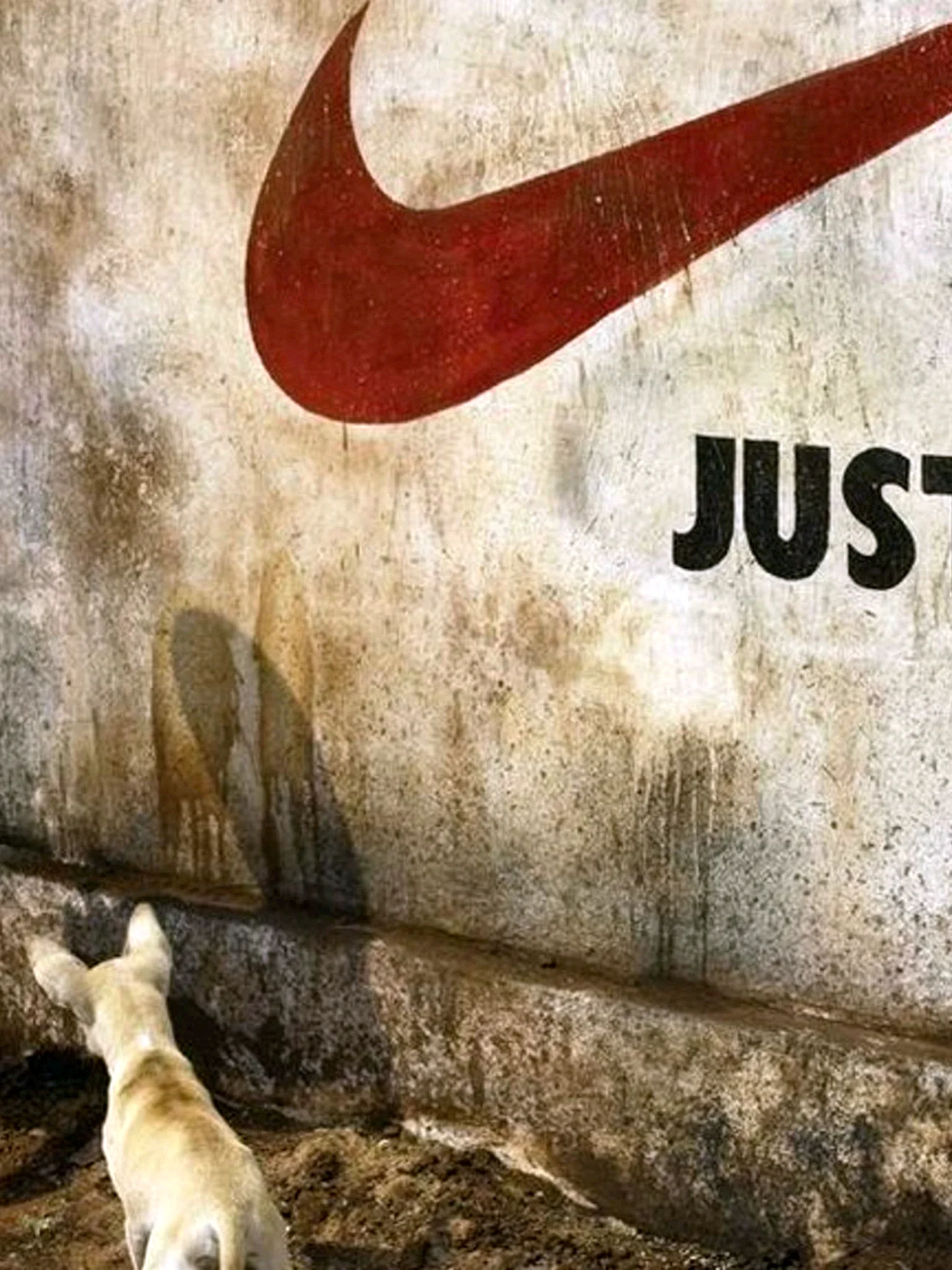 Just Do Nothing Animal Wallpaper For iPhone