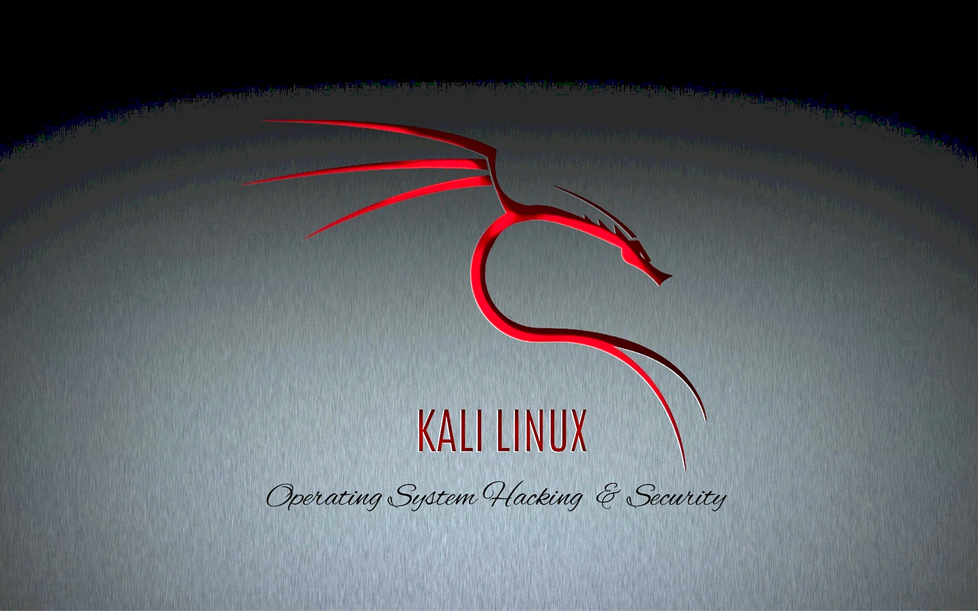Kali Linux Wallpaper