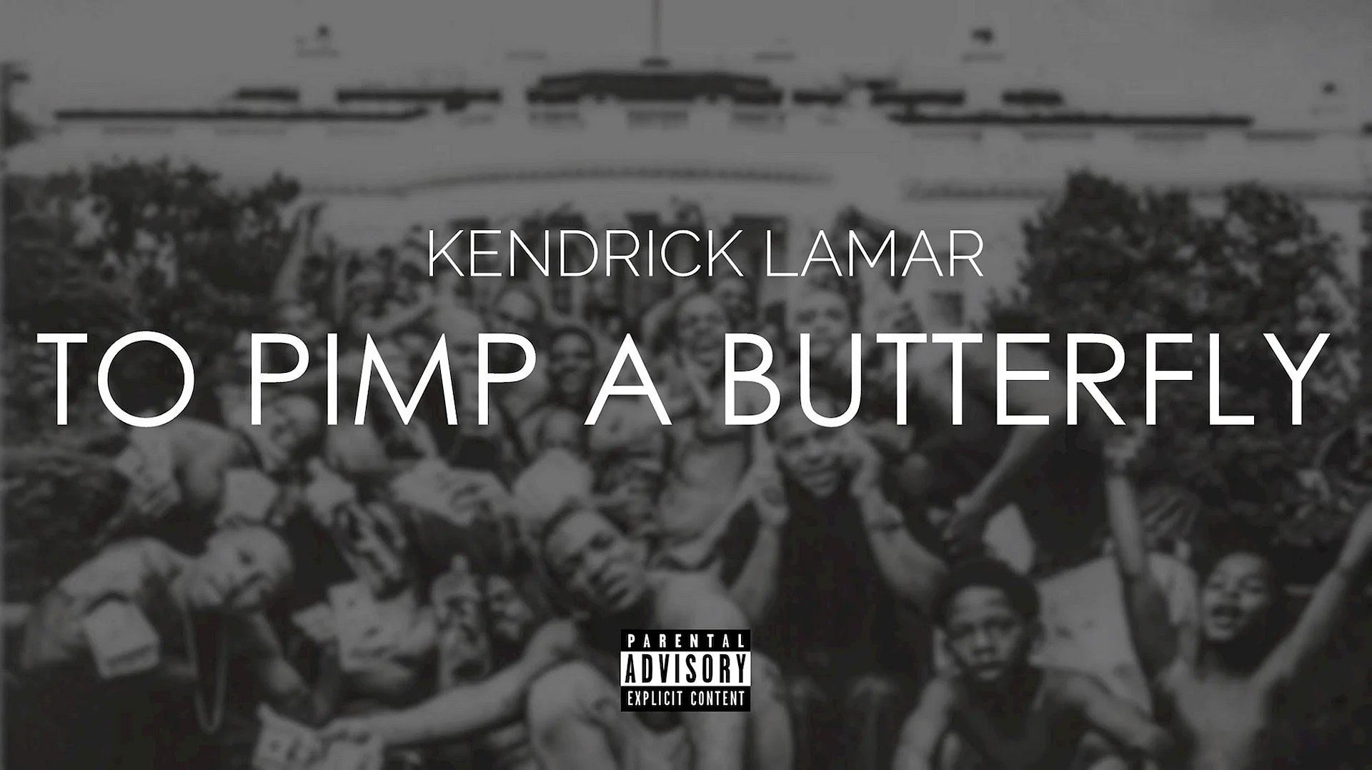 Kendrick Lamar To Pimp A Butterfly Wallpaper