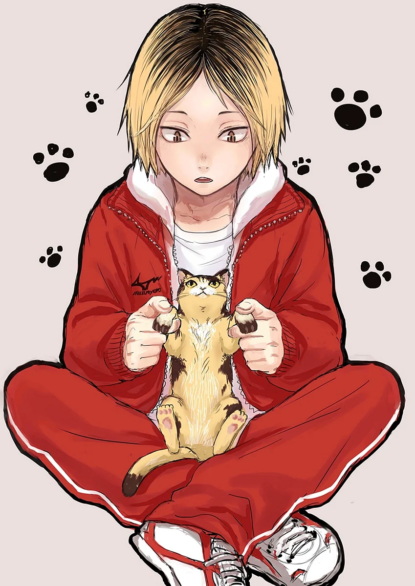 Kenma Kozume Wallpaper