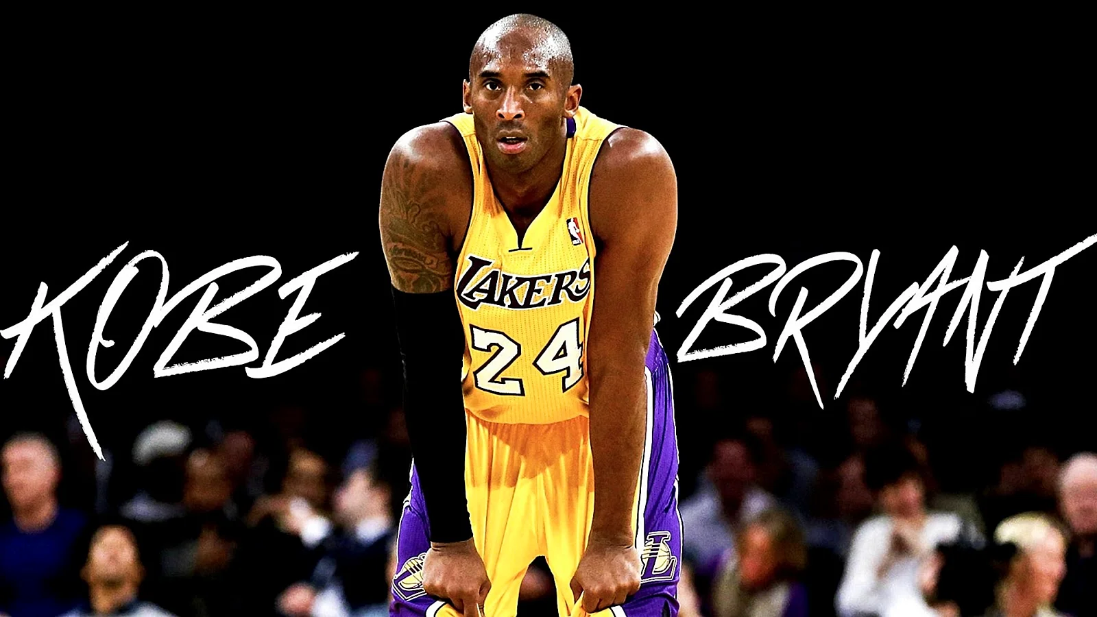 Kobe Bryant Black Mamba Wallpaper