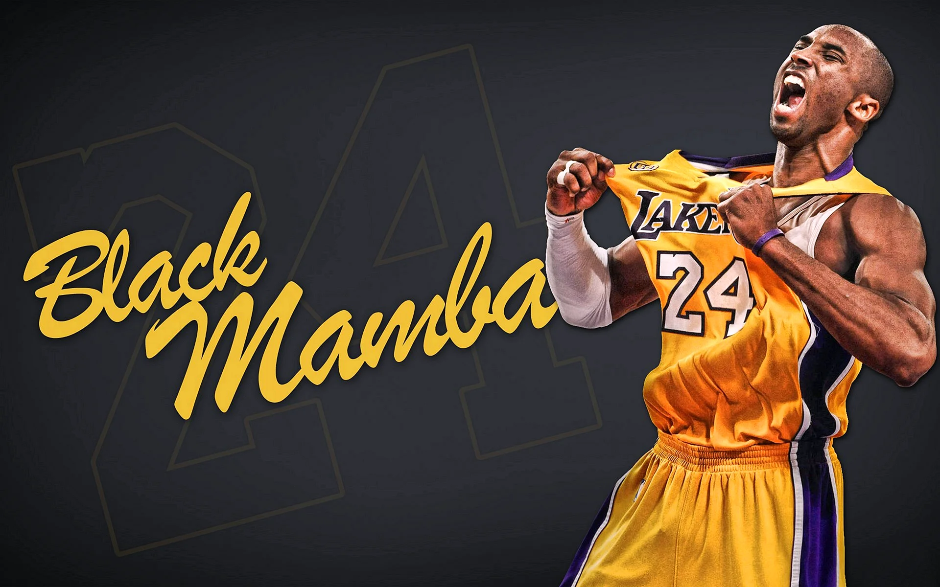 Kobe Bryant Black Mamba Wallpaper