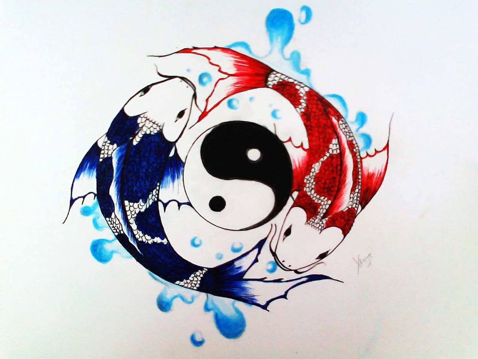 Koi Yin Yang Fish Wallpaper