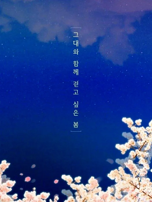 Korean Aesthetic Wallpaper For iPhone