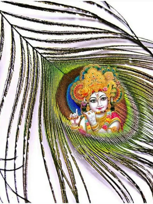 Krishna Mor Pankh Wallpaper