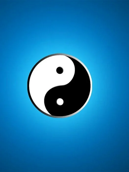 Kung Fu Logo Wallpaper